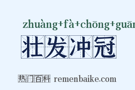 壮发冲冠是什么意思的图片